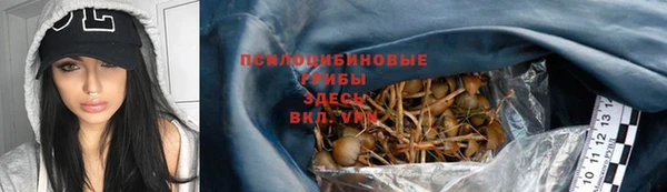 мескалин Белокуриха