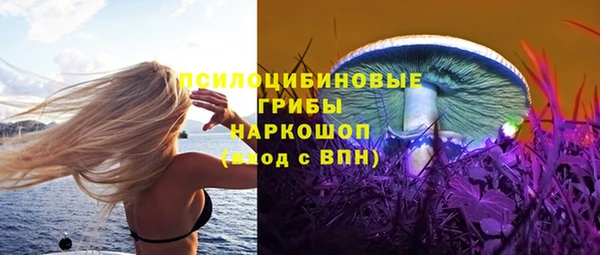 гашик Белоозёрский