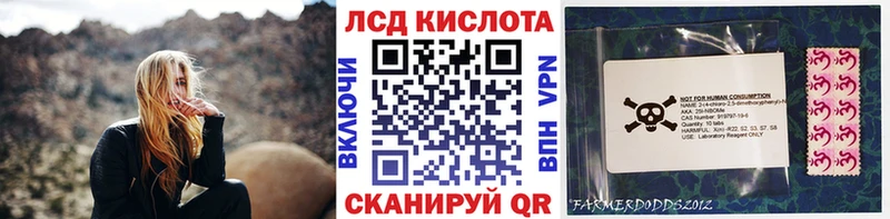 наркошоп  Острогожск  Марки NBOMe 1,5мг 