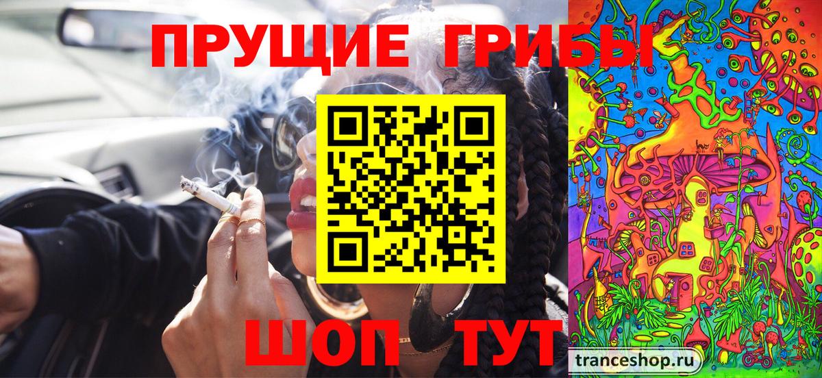 Псилоцибиновые грибы мицелий Острогожск